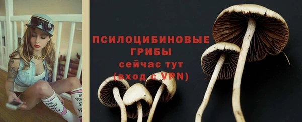 не бодяженный Пролетарск