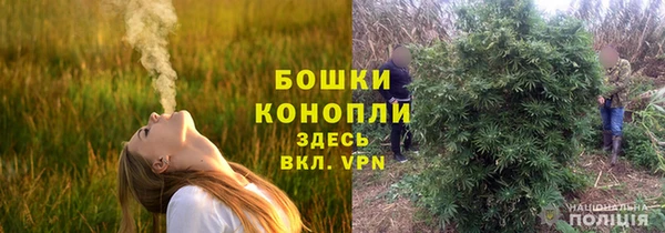мет Балахна