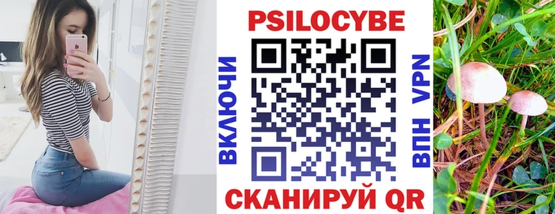 даркнет сайт  Печора  Псилоцибиновые грибы Psilocybe 